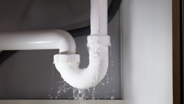 Flood Dry-Out Customer Tip